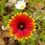 Nancy Steiner Fitch's profile image