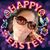 Nicole Ackerman's profile image