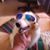 Joe Fahlsing's profile image