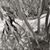 Branden Burks Respress's profile image