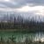David Helweg's profile image
