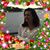 Maria Izilda Simoes's profile image
