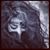 Altabea Aljamela's profile image