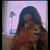 Dina Assam's profile image