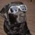 Jocelyn Pritchard's profile image