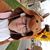 Laurie Behrmann's profile image