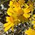 Debra Ohge-Mcelroy's profile image