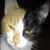 Glenna McPherson's profile image
