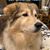 Sabrina Glore's profile image