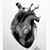 Tara Nachelle Taylor's profile image