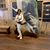 Louisa Louise Boynton's profile image