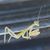 Rusty Rogers's profile image