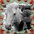Kim Olson Burdine's profile image