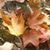 Lori Anderson's profile image