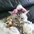Missy Marcin's profile image
