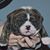 Bronson Laird's profile image