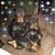 Jason Dugan's profile image