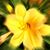 Ray Mary Emmons's profile image