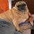 Dave Horton's profile image