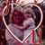 Heidi Panichello's profile image