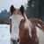Kristi Koivisto's profile image
