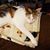 Cheryl Edwards Rodrigues's profile image