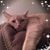 Heather Frieze's profile image