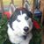 Michelle Young's profile image