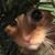Laura Marshall's profile image