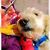 Barb Deubell Chaulk's profile image