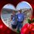 Kenny Ulmer's profile image
