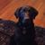Brian Burkett's profile image