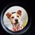Kelly Holmes's profile image
