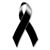 Eliana Molina's profile image