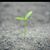 Maher Sayed's profile image