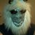 Anthony Becker's profile image