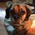 Licienne Benedetto-Sodano's profile image