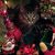 Christine Treacy Pizzariello's profile image