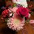 Candi Leigh Bump's profile image