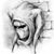 Vito Newtfisi's profile image