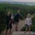 Becca Percifield's profile image