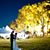Always Perfect Special Events's profile image