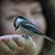 Kathie Rokita's profile image