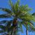 Daryle McGrath Wilson's profile image