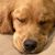 Sara Smith's profile image