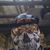 Benjamin Big-Six's profile image