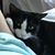 Mari Wilson's profile image