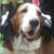 Maureen Colucci Barber's profile image