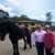 Ligia Lozano's profile image