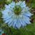 Marcia Gillison's profile image